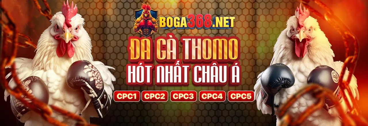 Đá Gà Trực Tuyến Hấp Dẫn tại okkingcom